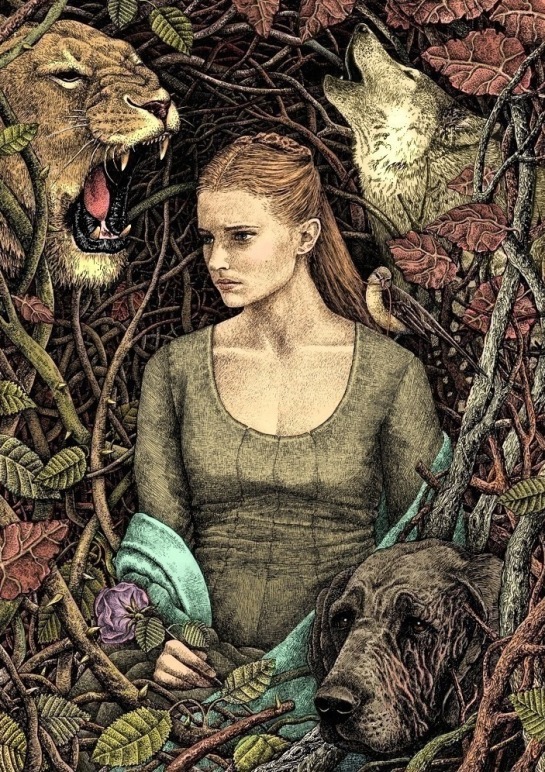 Sansa Stark by Bugbug on DeviantArt
